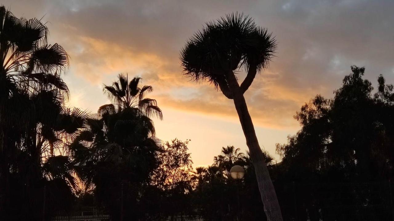 Paraiso Altemar, Duplex Las Americas 美洲海滩 外观 照片