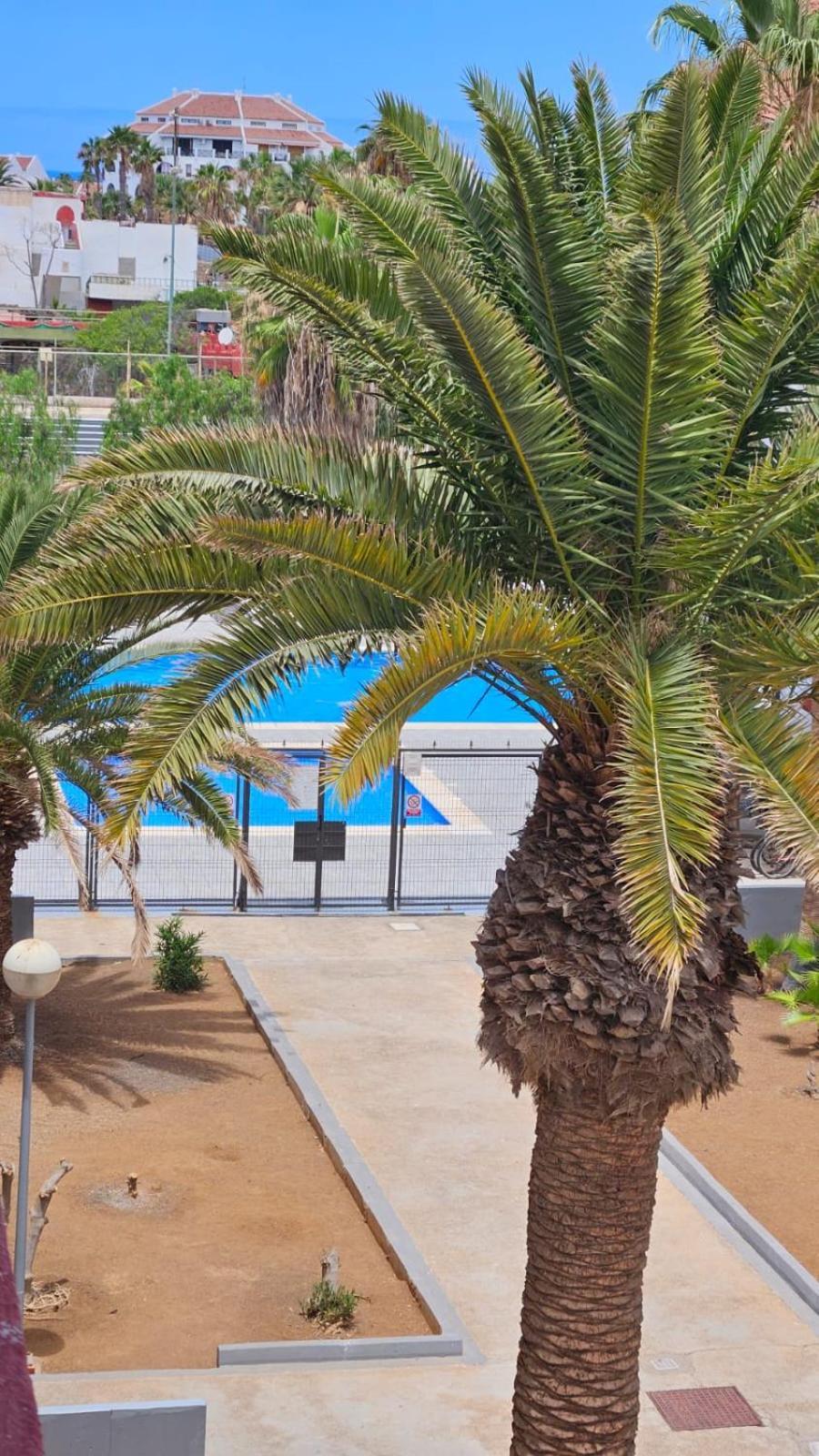 Paraiso Altemar, Duplex Las Americas 美洲海滩 外观 照片
